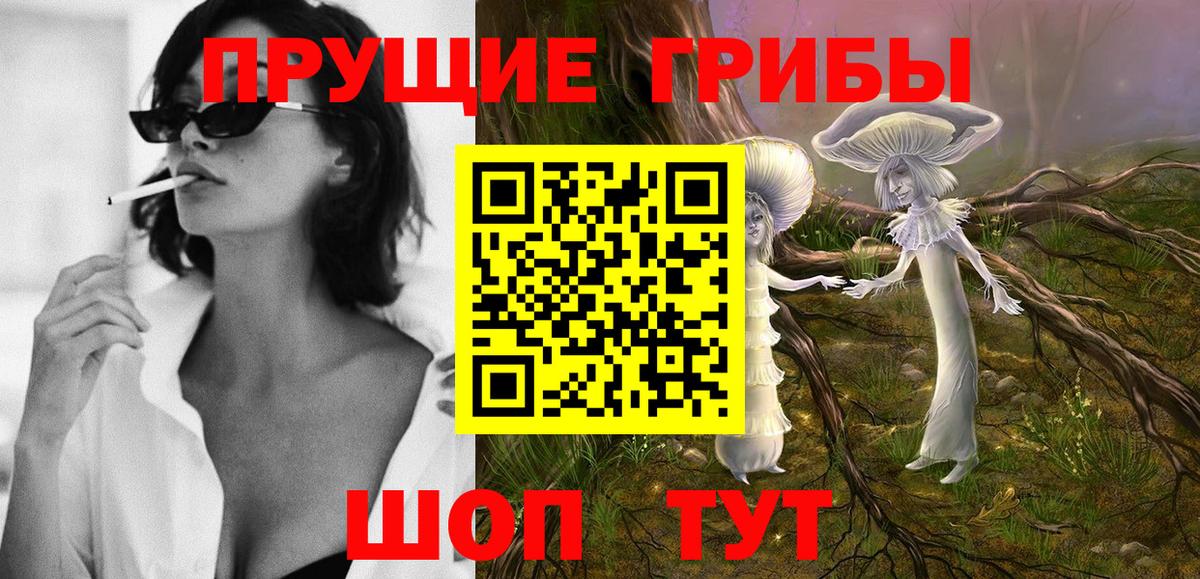 Псилоцибиновые грибы Psilocybe Егорьевск