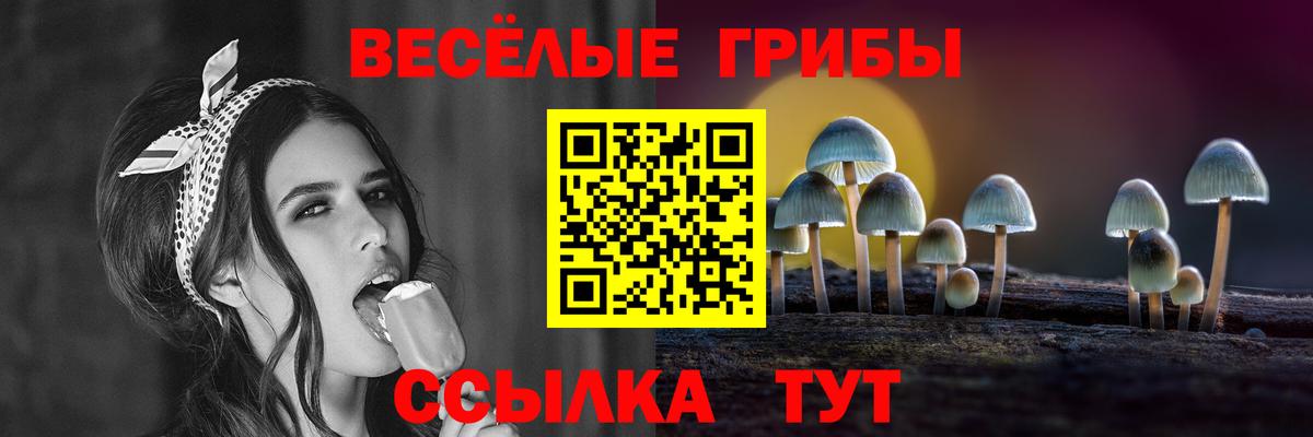 Псилоцибиновые грибы MAGIC MUSHROOMS  Вход с VPN  Егорьевск 