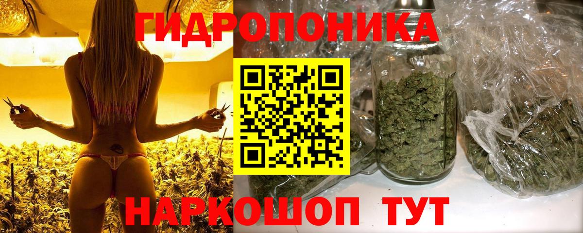 Бошки Шишки индика  МАРИХУАНА марихуана  Марихуана план  Вход с VPN  Егорьевск 